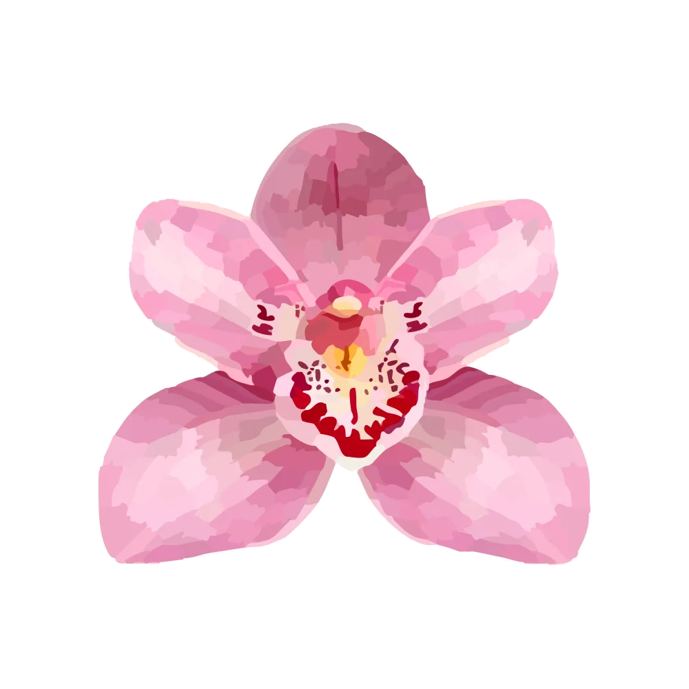 Pink Orchid Icon